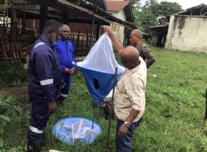 FMLD surveillance and pest control continues in Abia State