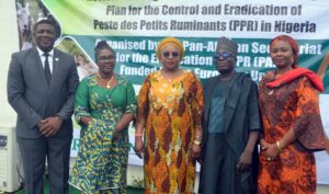FMLD Review and Alignment of National Strategic Plan for Eradication of PPR in Nigeria hold in Abuja